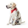 Swivel Snap Hooks JIEYAO 30pcs Heavy Duty Dog Leash Clips 360°-5