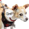 Trigger Clips 12pcs Zinc Alloy Snap Hook for Dog Leash Keyring MICREEN-5